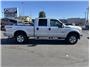2015 Ford F250 Super Duty Crew Cab XLT Pickup 4D 6 3/4 ft Thumbnail 6