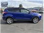 2013 Ford Escape SE Sport Utility 4D Thumbnail 6