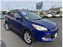 2013 Ford Escape SE Sport Utility 4D Thumbnail 7