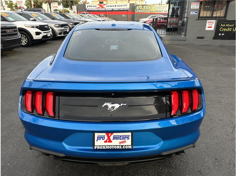 2019 Ford Mustang EcoBoost Premium photo 13