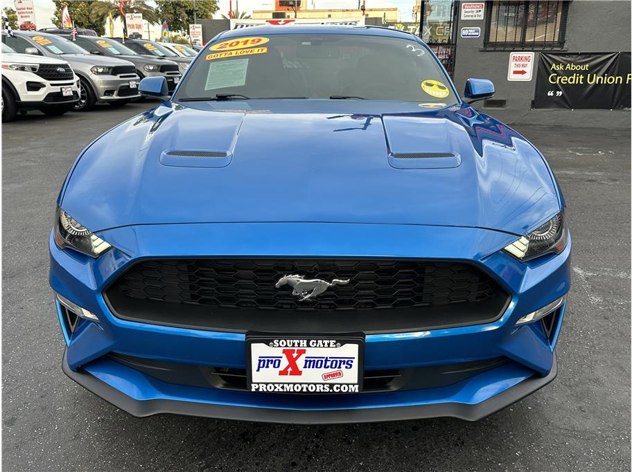 2019 Ford Mustang EcoBoost Premium photo 2