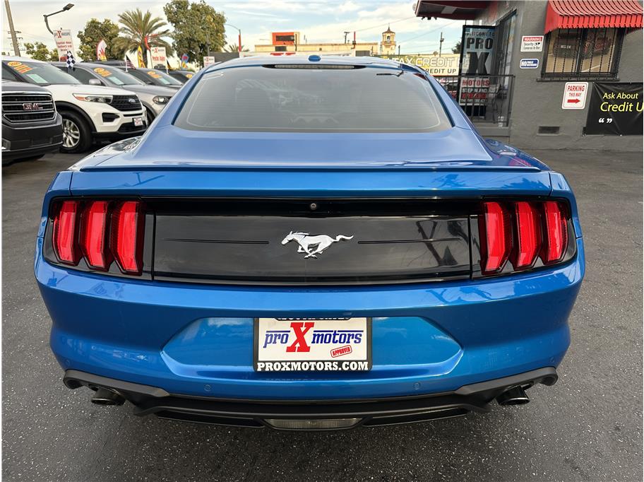 2019 Ford Mustang EcoBoost Premium photo 5