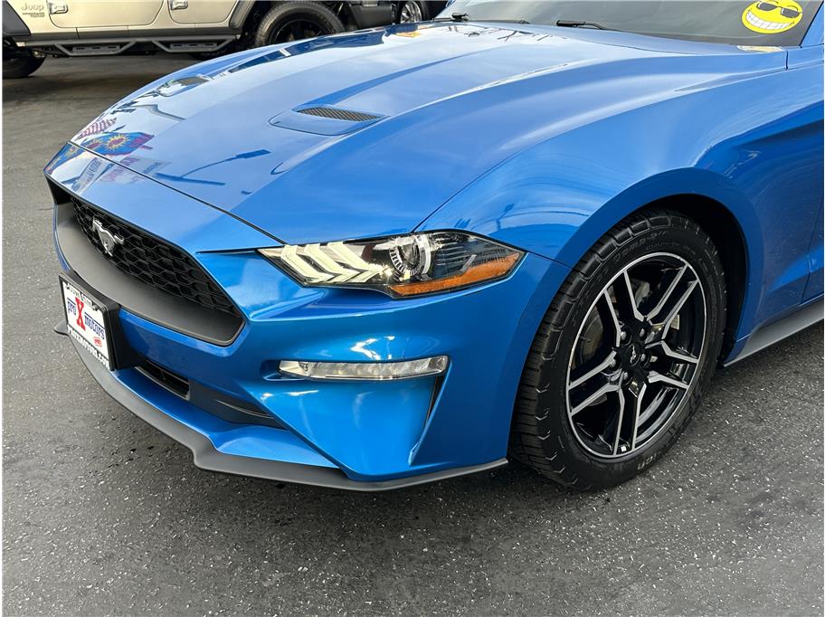 2019 Ford Mustang EcoBoost Premium photo 7