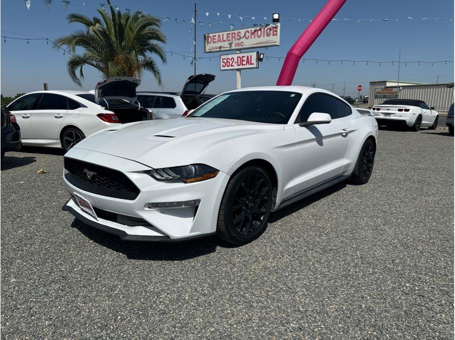 2019 Ford Mustang from Dealers Choice